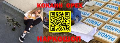 крисы Кунгур