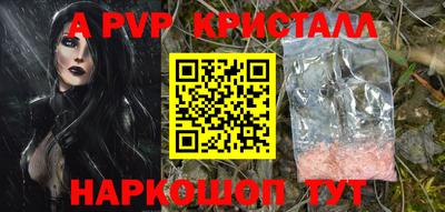 крисы Кунгур