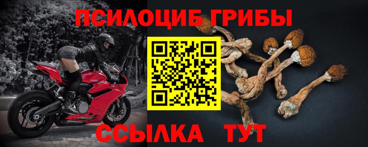 Псилоцибиновые грибы мухоморы  где можно купить наркотик  Хабаровск  Галлюциногенные грибы мухоморы  Вход с VPN 